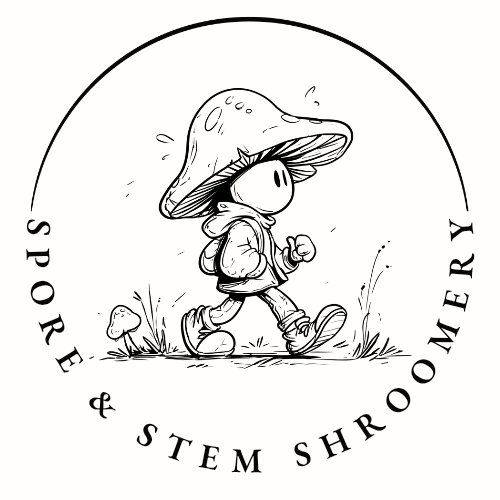 Oyster Mushrooms