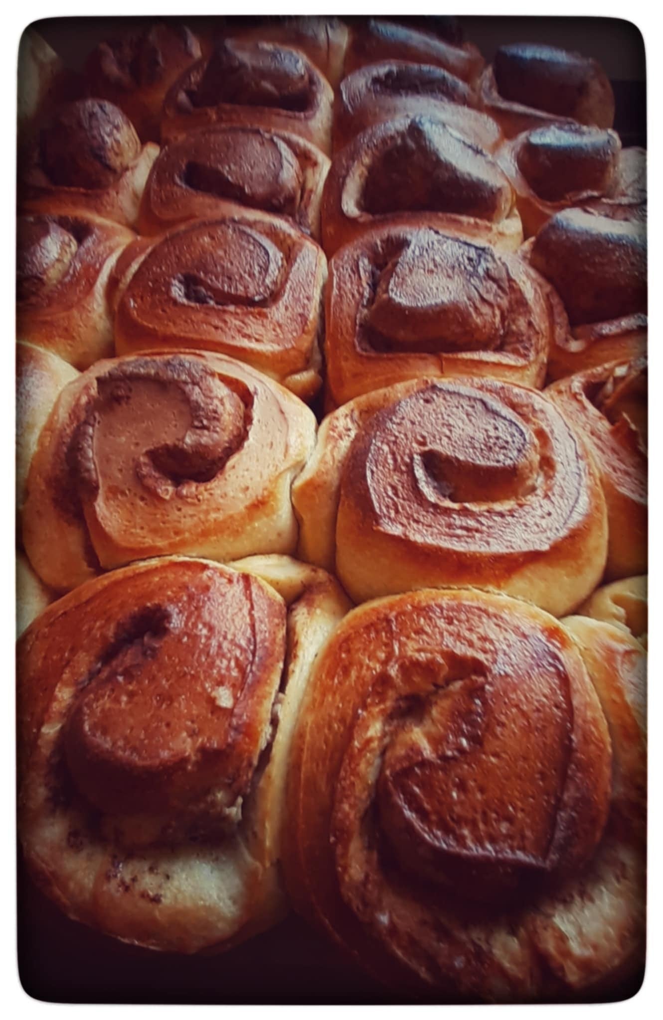 Echt treats- Cinnamon or Sugar Raisin twirls