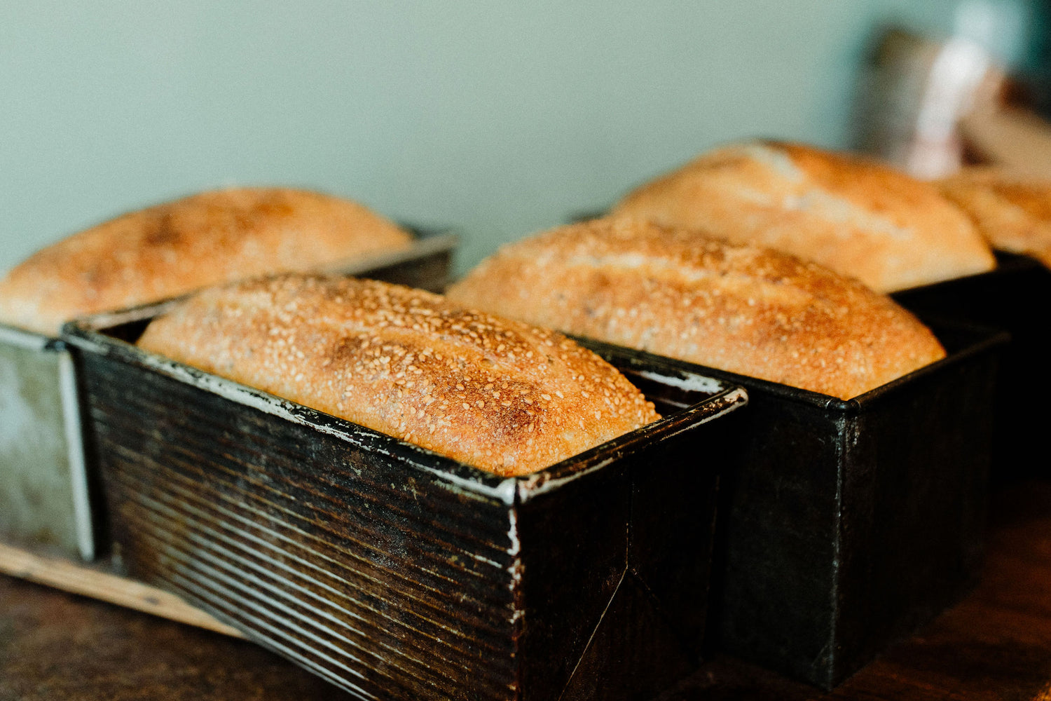 Soft Sourdough Sandwich (plain or toasted Sesame)