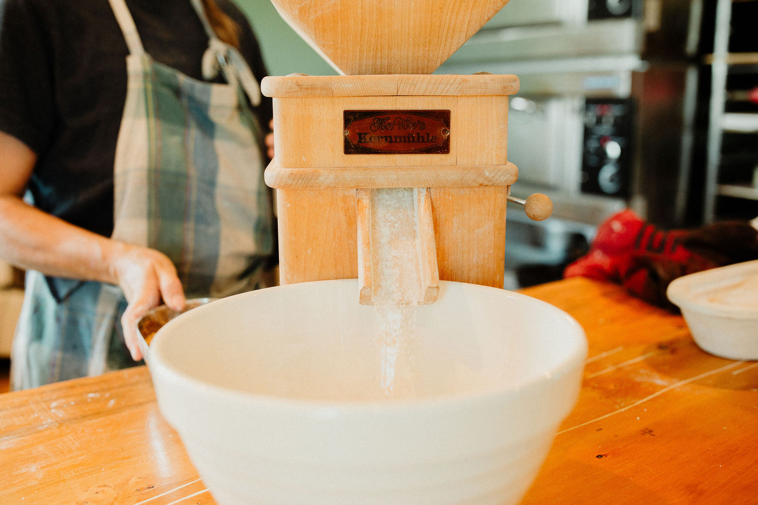 Image with text section