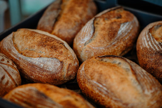 Country Pioneer Loaf, sprayfree (sourdough)