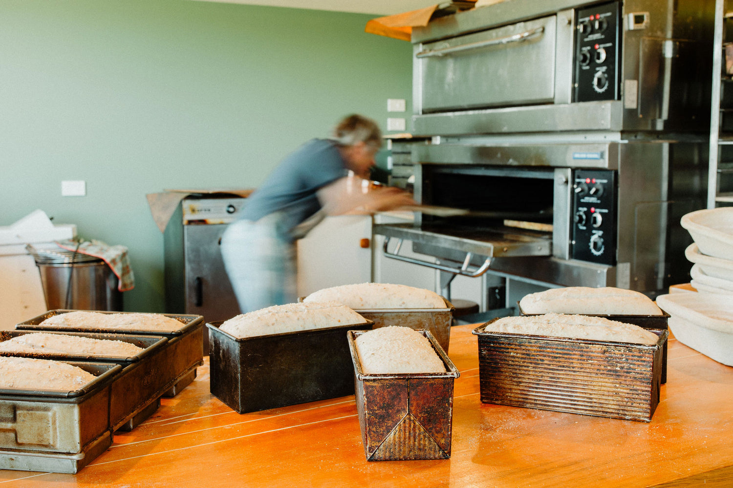 Image with text section